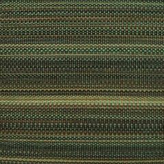 Old World Weavers Paso Horsehair Green / Grey SK 00010514 Horsehair Chapters Collection Indoor Upholstery Fabric