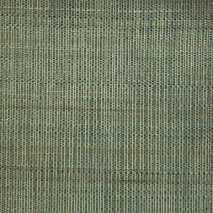 Old World Weavers Paso Horsehair Pale Turquoise SK 00010523 Horsehair Chapters Collection Indoor Upholstery Fabric
