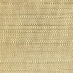 Old World Weavers Paso Horsehair Lime SK 00010525 Horsehair Chapters Collection Indoor Upholstery Fabric