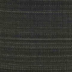 Old World Weavers Paso Horsehair Pearl Grey / Black SK 00010528 Horsehair Chapters Collection Indoor Upholstery Fabric