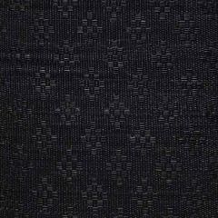 Old World Weavers Caspian Horsehair Black SK 00010612 Horsehair Chapters Collection Indoor Upholstery Fabric
