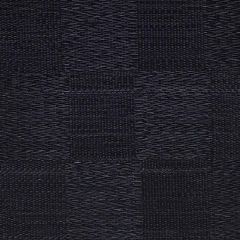 Old World Weavers Dale Checkerboard Horsehair Black SK 00016831 Horsehair Chapters Collection Indoor Upholstery Fabric