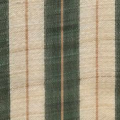 Old World Weavers Neapolitan Horsehair Green / Beige SK 0002N637 Horsehair Chapters Collection Indoor Upholstery Fabric