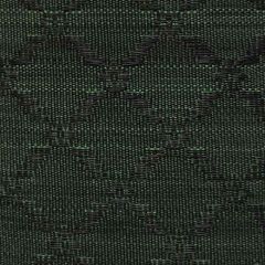 Old World Weavers Jutland Horsehair Green / Black SK 00040609 Horsehair Chapters Collection Indoor Upholstery Fabric
