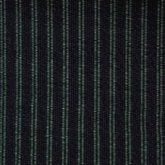 Old World Weavers Tarpan Horsehair Green / Black SK 00040700 Horsehair Chapters Collection Indoor Upholstery Fabric