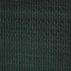 Old World Weavers Selle Horsehair Green / Black SK 00040900 Horsehair Chapters Collection Indoor Upholstery Fabric