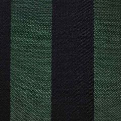 Old World Weavers Breton Horsehair Green / Black SK 0004B205 Horsehair Chapters Collection Indoor Upholstery Fabric