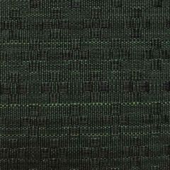 Old World Weavers Ermine Horsehair Emerald SK 0004H601 Horsehair Chapters Collection Indoor Upholstery Fabric