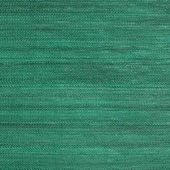 Old World Weavers Criollo Horsehair Green SK 00140230 Horsehair Chapters Collection Indoor Upholstery Fabric