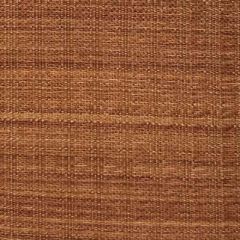 Old World Weavers Oldenburg Horsehair Brown SK 00240616 Horsehair Chapters Collection Indoor Upholstery Fabric