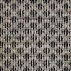Old World Weavers Appaloosa Horsehair Gray / Black SK 00270613 Horsehair Chapters Collection Indoor Upholstery Fabric