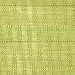 Old World Weavers Paso Horsehair Chartreuse SK 05430001 Horsehair Chapters Collection Indoor Upholstery Fabric