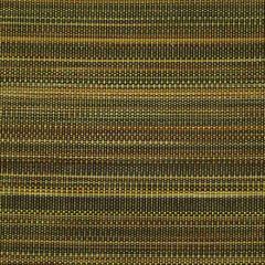 Old World Weavers Paso Horsehair Chartreuse / Grey SK 05440001 Horsehair Chapters Collection Indoor Upholstery Fabric