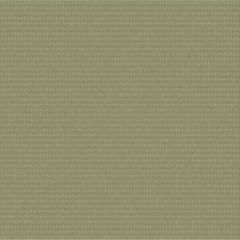 Outdura ETC Asparagus 2671 Ovation 4 Collection - Garden Spot Upholstery Fabric