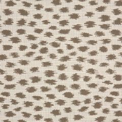 Sunbrella Agra Pebble 145147-0002 Fusion Collection - Reversible Upholstery Fabric (Light Side)