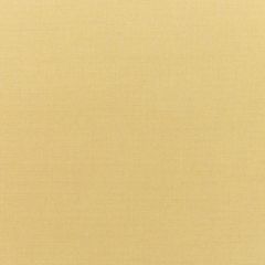 Sunbrella Canvas Wheat 5414-0000 Elements Collection Upholstery Fabric