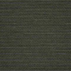 Sunbrella System Earth 50198-0004 Sling Upholstery Fabric