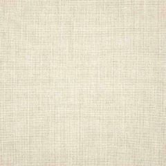 Sunbrella Cast Pumice 48114-0000 The Pure Collection Upholstery Fabric