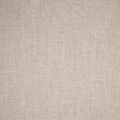 Sunbrella Switch Flax 40555-0002 Fusion Collection Upholstery Fabric