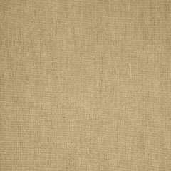 Sunbrella Switch Wren 40555-0012 Fusion Collection Upholstery Fabric