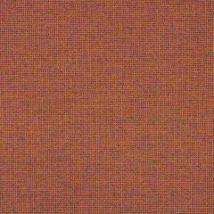 Sunbrella Rally Ember 87005-0010 Transcend Collection Upholstery Fabric