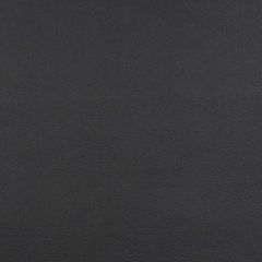 Sunbrella Capriccio Black 10200-0014 Horizon Marine Upholstery Fabric