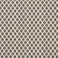 Sunbrella Detail Classic 146003-0004 Emerge Collection Upholstery Fabric