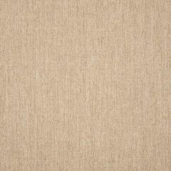 Sunbrella Canvas Fawn 57015-0000 Emerge Collection Upholstery Fabric