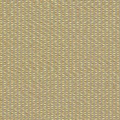 Sunbrella Majestic Citrine MAJ J338 140 Odyssey European Collection Upholstery Fabric