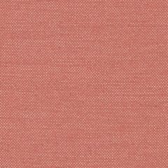 Sunbrella Natte Flamingo NAT 10234 140 Odyssey European Collection Upholstery Fabric