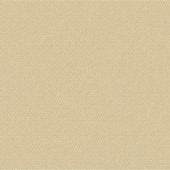 Outdura Bubbly Chick 10203 Ovation 4 Collection - Tawny Sunset Upholstery Fabric