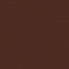 Sunbrella Canvas Bay Brown 5432-0000 Elements Collection Upholstery Fabric