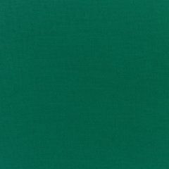 Sunbrella Canvas Forest Green 5446-0000 Elements Collection Upholstery Fabric