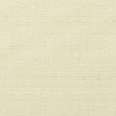 Sunbrella Linen Canvas 8353-0000 Elements Collection Upholstery Fabric