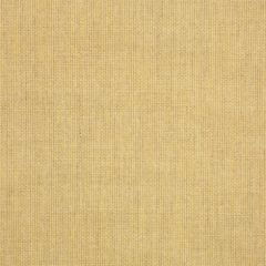 Sunbrella Spectrum Almond 48082-0000 Elements Collection Upholstery Fabric
