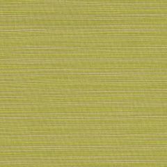 Sunbrella Dupione Peridot 8024-0000 Elements Collection Upholstery Fabric