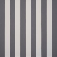 Dickson Slate Dark Gray / Natural Stripe 8922 North American Collection Awning / Shade Fabric
