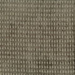 ABBEYSHEA Artisian 64 Mink Indoor Upholstery Fabric