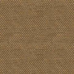 Kravet Couture Sp-81782-018 Indoor Upholstery Fabric