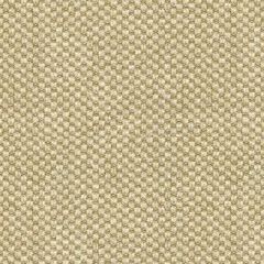 Kravet Couture Sp-81782-068 Indoor Upholstery Fabric