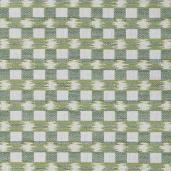 Kravet Design La Roche Leaf -3 Indoor Upholstery Fabric