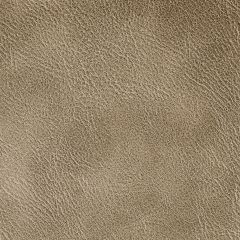 Kravet Contract Spur Cocoa 606 Foundations / Value Collection Indoor Upholstery Fabric