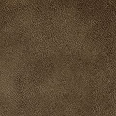 Kravet Contract Spur Pecan 616 Foundations / Value Collection Indoor Upholstery Fabric