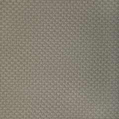 Kravet Contract Stein Porcini 11 Indoor Upholstery Fabric