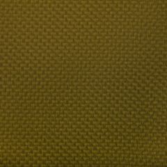 Kravet Contract Stein Wasabi 23 Indoor Upholstery Fabric
