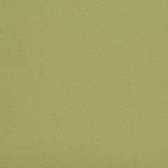 Mayer Silverweave Willow Sw-013 Upholstery Fabric