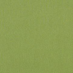 Mayer Silverweave Lime Sw-043 Upholstery Fabric