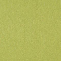 Mayer Silverweave Spring Sw-053 Upholstery Fabric