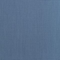 Tempotest Home Comrade Atlantic 5432-87 Foundations 54 Vol III Collection Upholstery Fabric