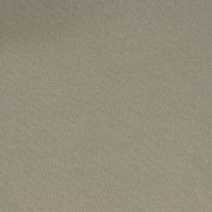 Patio Lane Terrers Shale Waterview Collection Upholstery Fabric